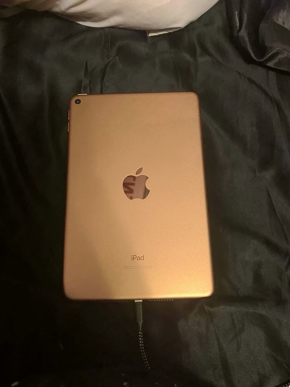 Apple iPad mini 5 64GB Space Gray Unlocked - Used image 3