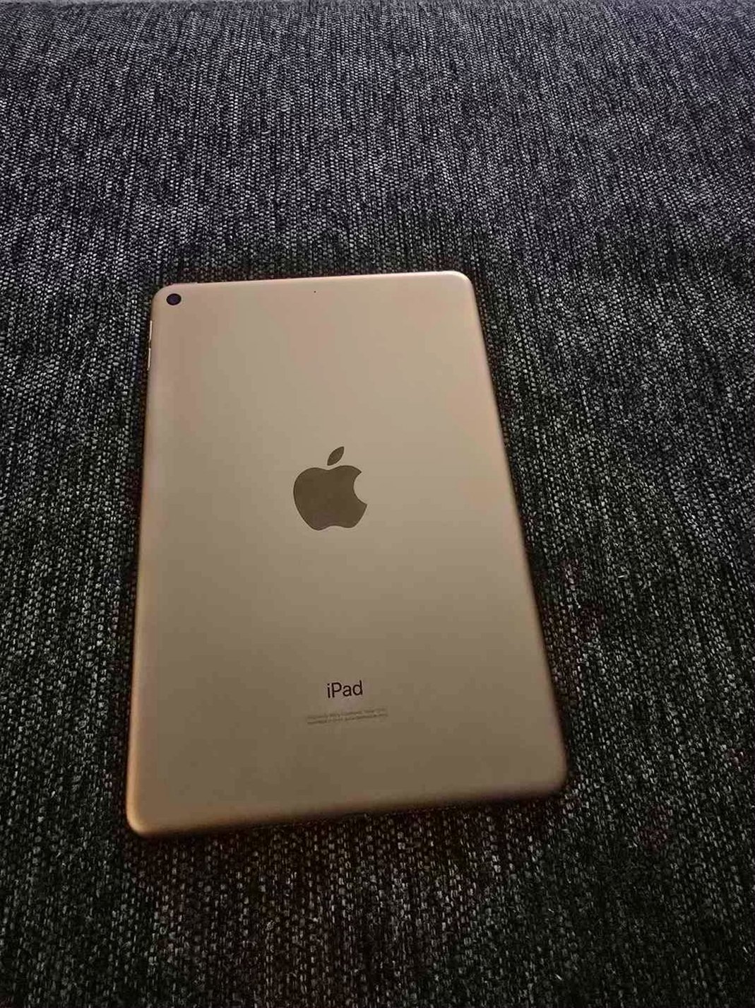 Apple iPad Mini 5th Generation 64GB Space Gray Unlocked - Used image 2