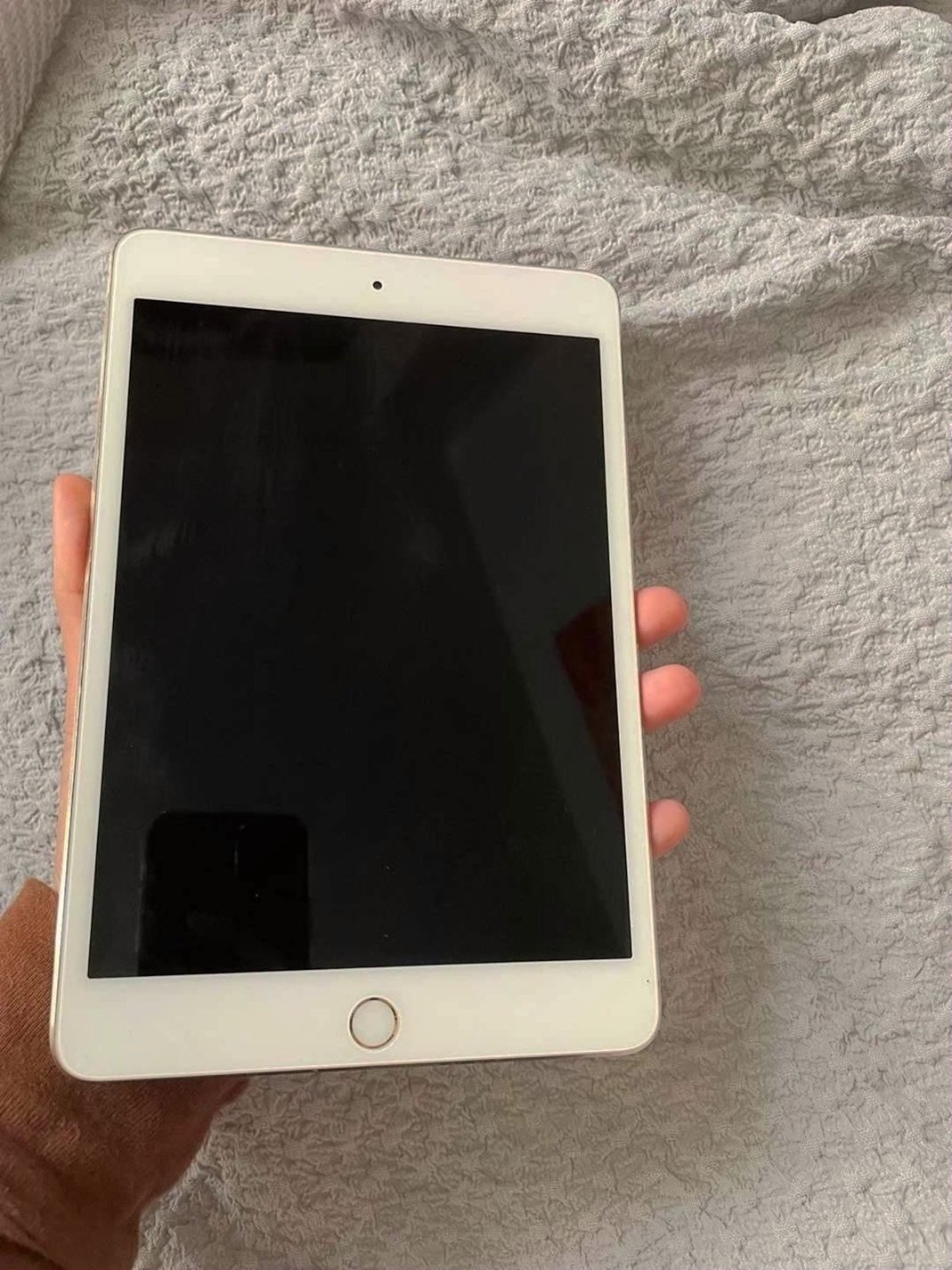 Apple iPad mini 4 64GB Unlocked - Used