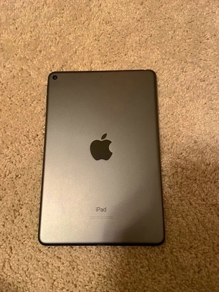 Apple iPad mini 5th Generation 256GB Space Gray Unlocked - Used