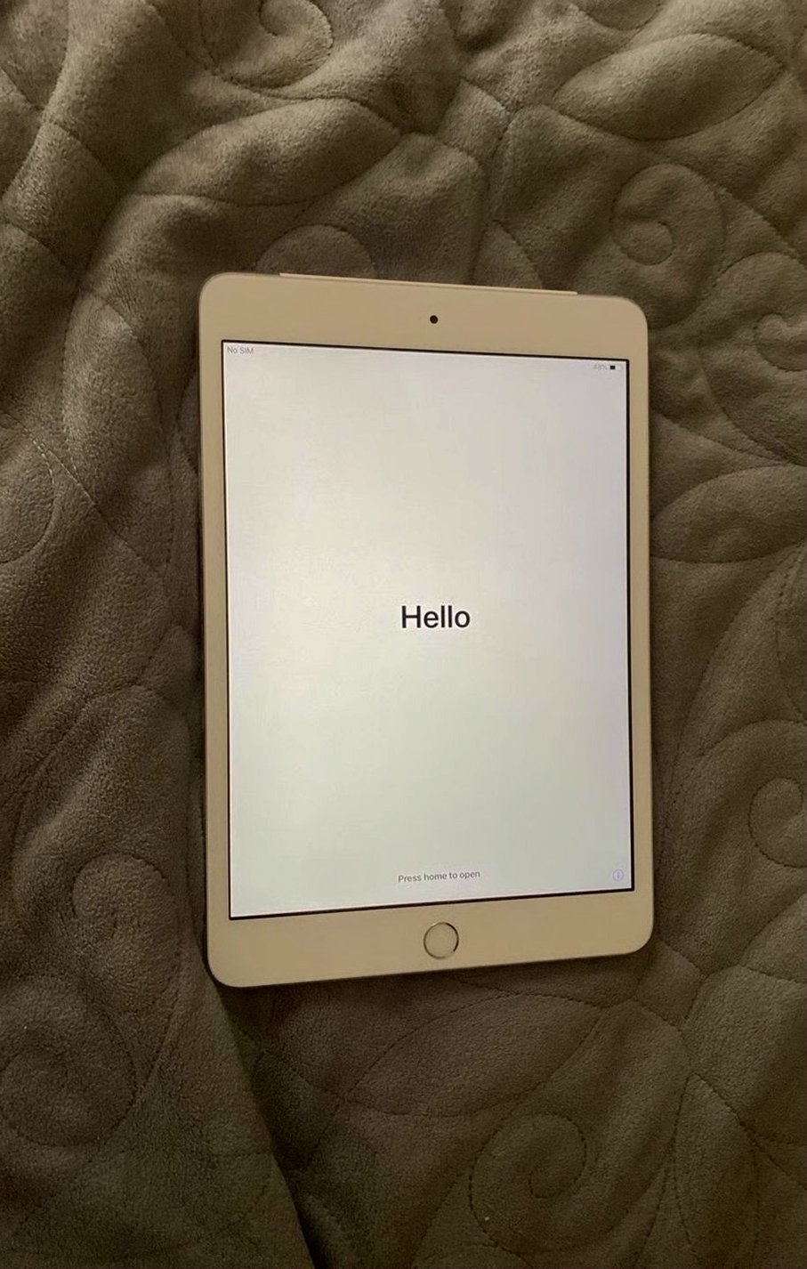 Apple iPad mini 3rd Generation 64GB Space Gray Unlocked - Used
