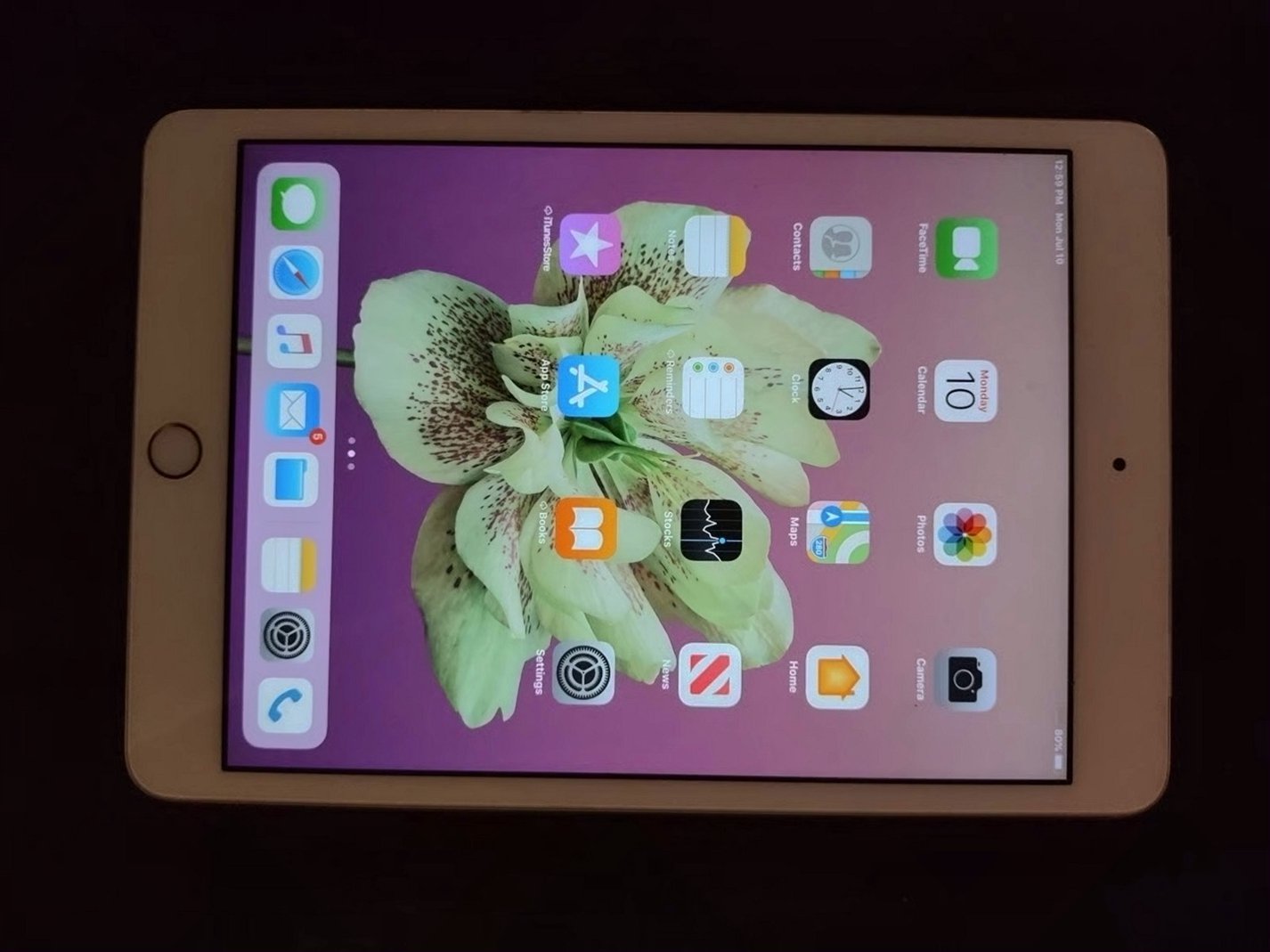 Apple iPad mini 64GB Gold Unlocked Used