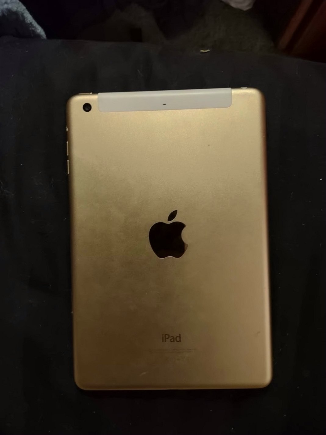 Apple iPad mini 64GB Gold Unlocked Used image 2