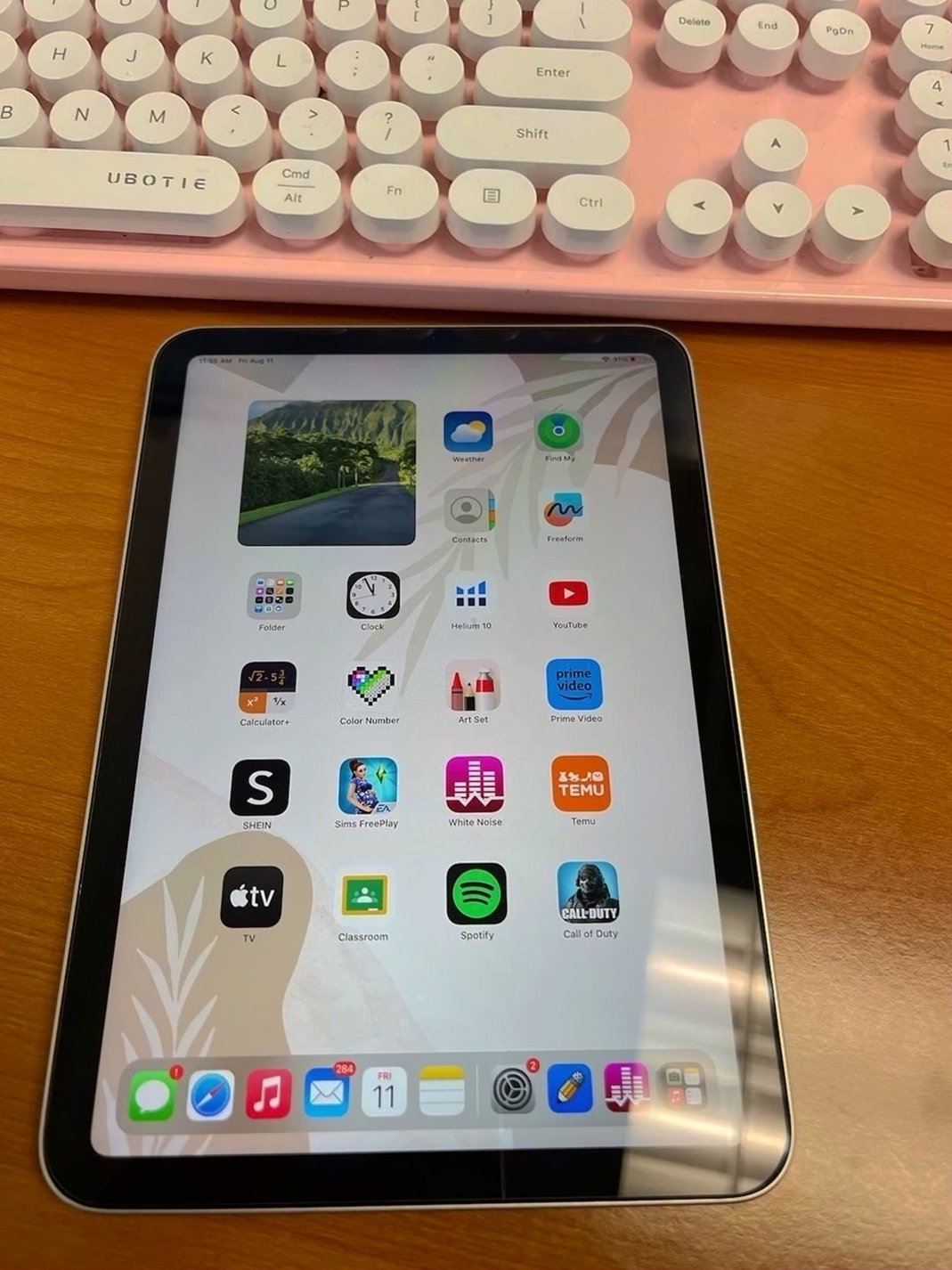 Apple iPad Mini 6th Generation 64GB Unlocked - Used