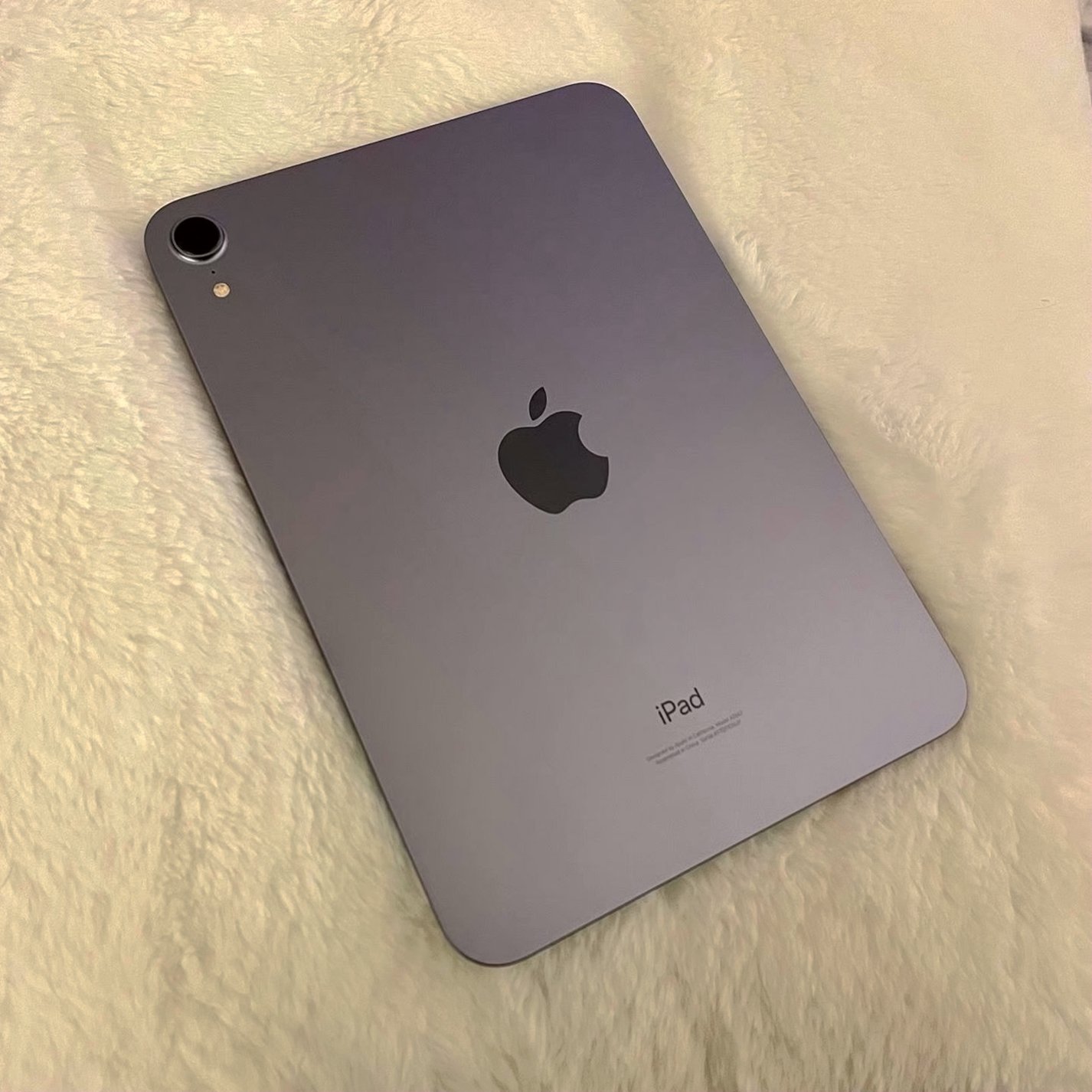 Apple iPad mini 6th Gen 256GB Purple Unlocked - Used