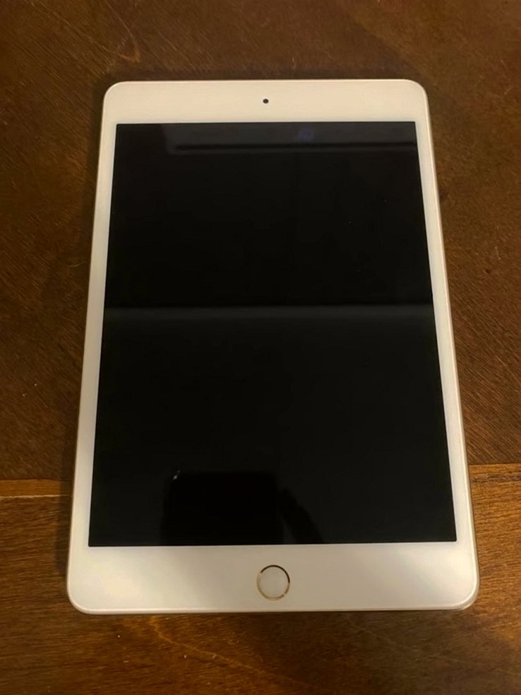 Apple iPad mini 4 64GB Unlocked Used