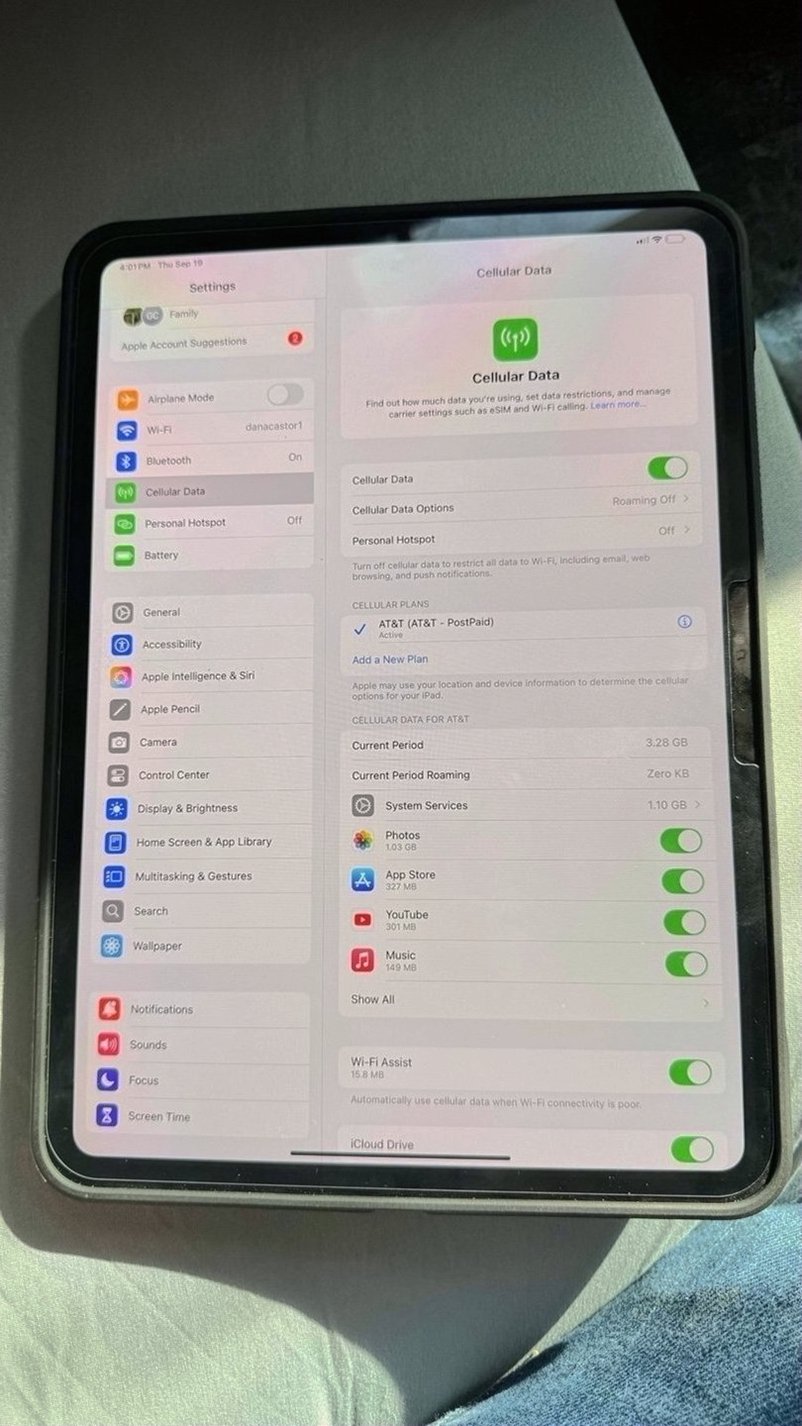 Apple iPad Pro M4 256GB Unlocked Used image 2