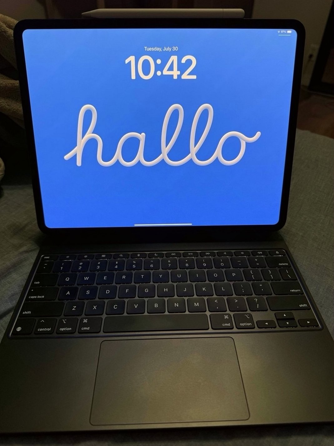 Apple iPad Pro 2024 M4 256GB Unlocked Used