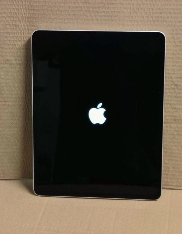 Apple iPad Pro 12.9-inch 5th Generation 256GB Gray Unlocked - Used