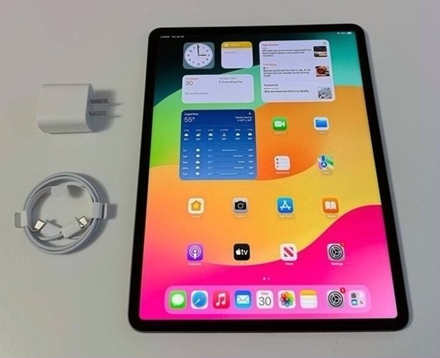 Apple iPad Pro 12.9 inch (5th Gen) 128GB Space Gray Unlocked - Used
