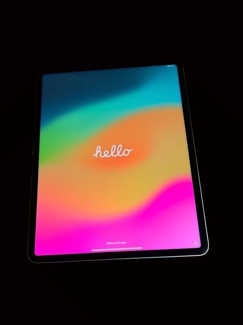 Apple iPad Pro 12.9" 512GB Gray Unlocked - Used
