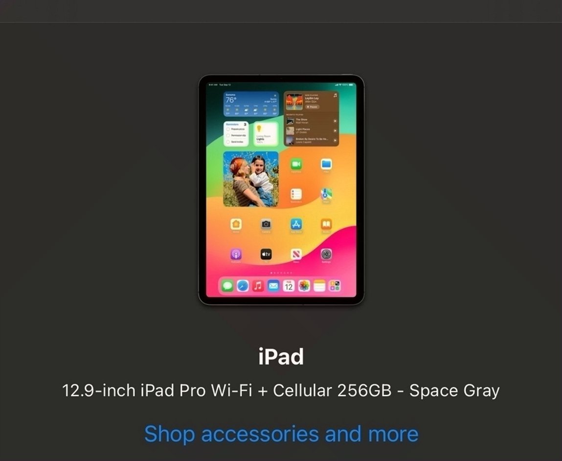 Apple iPad Pro 12.9 inch 256GB Unlocked - Used image 4