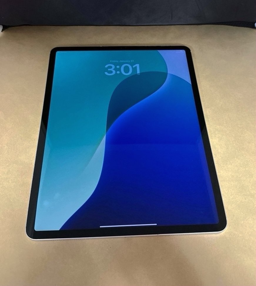 Apple iPad Pro 12.9 inch 4th Gen 256GB Silver Unlocked - Used