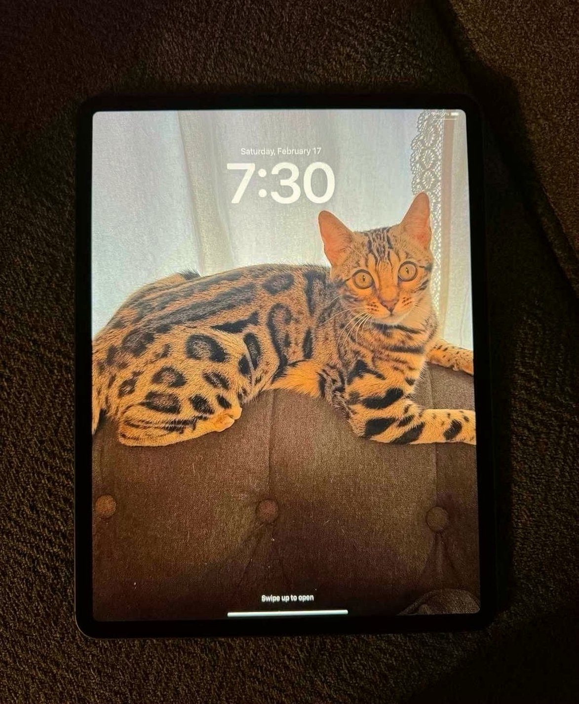 Apple iPad Pro 12.9 WiFi and Cellular Unlocked - Used