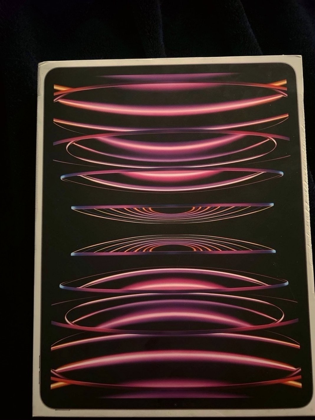 Apple iPad Pro 6th Generation 256GB 12.9inch Unlocked Used