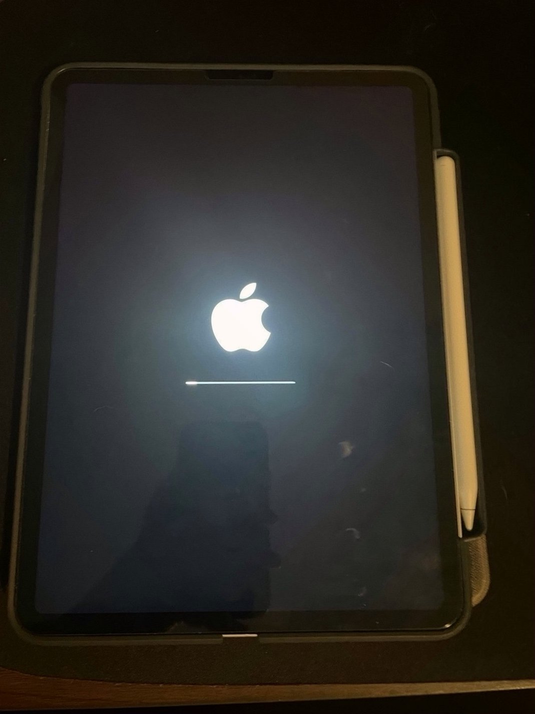 Apple iPad Pro 11 inch 256GB Space Gray Unlocked - Used