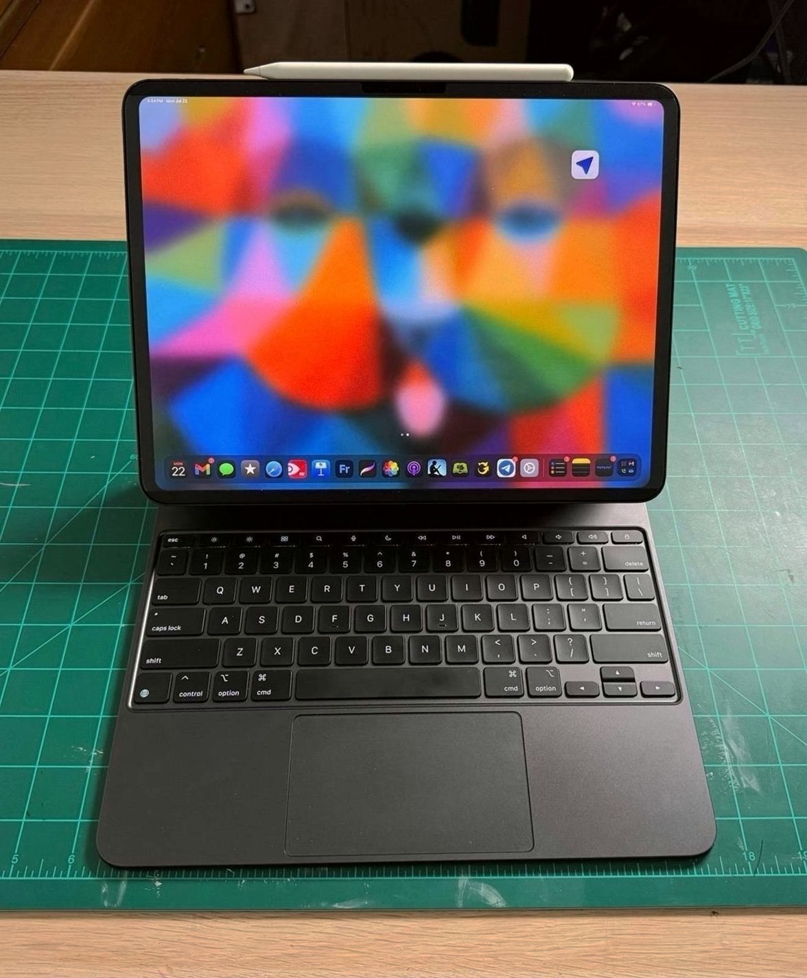 Apple iPad Pro 13” M4 256GB Space Gray Unlocked - Used