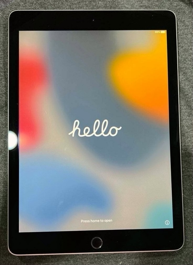 Apple iPad Pro 1st Generation 256GB Space Gray Unlocked - Used