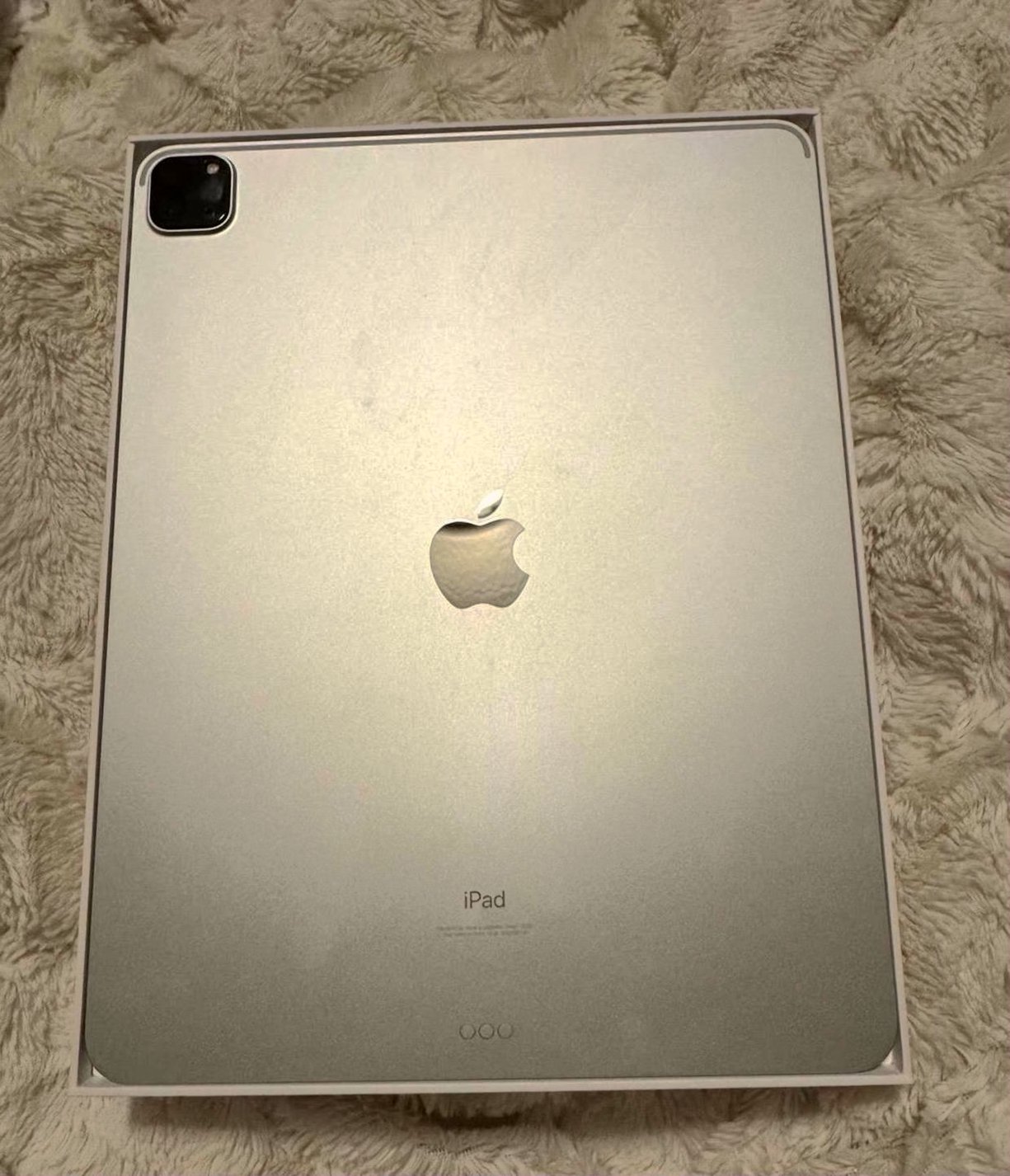 Apple iPad Pro 5th Generation 256GB Silver Gray Unlocked - Used
