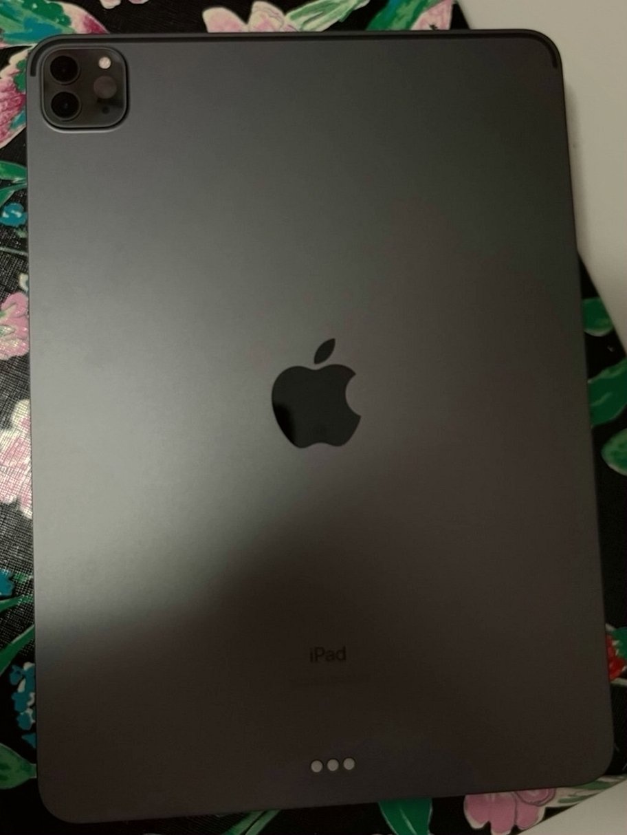 Apple iPad Pro 2nd Generation 256GB Space Gray Unlocked - Used
