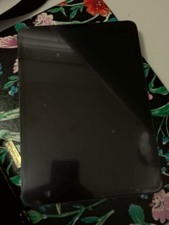 Apple iPad Pro 2nd Generation 256GB Space Gray Unlocked - Used image 2