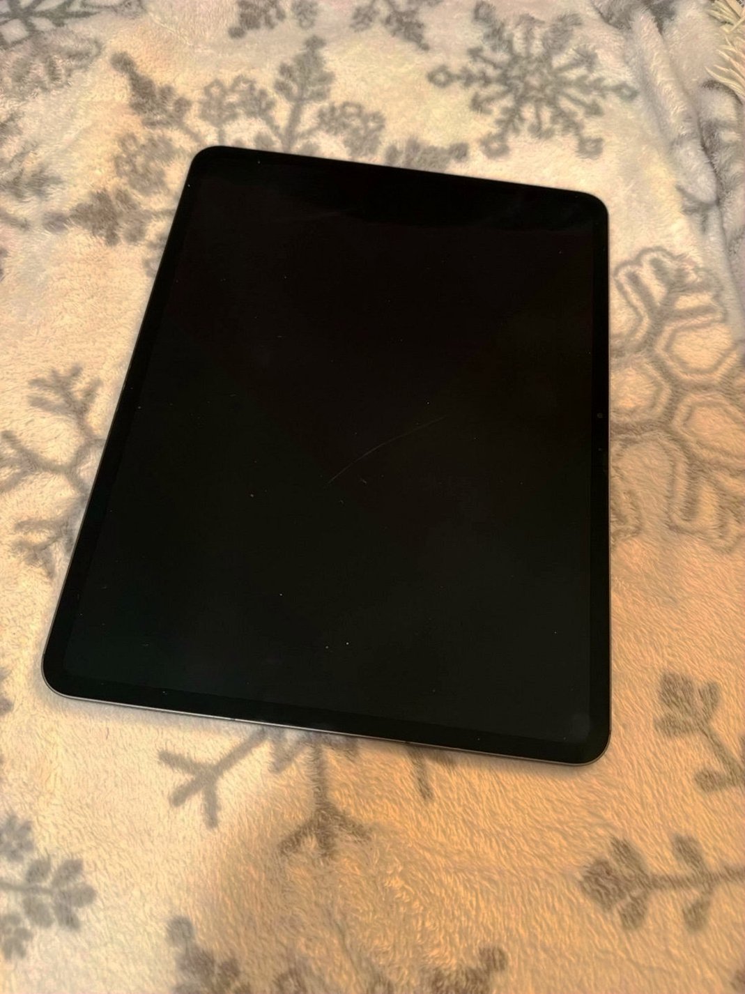 Apple iPad Pro 13 inch 256GB Unlocked Used image 2