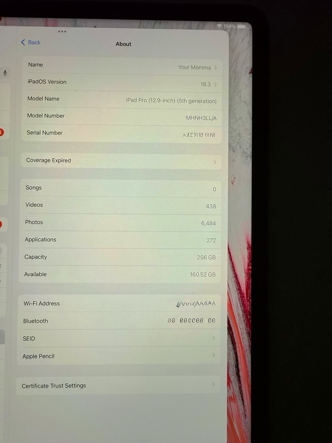 Apple iPad Pro 12.9 5th Generation 256GB Space Gray Unlocked - Used image 3