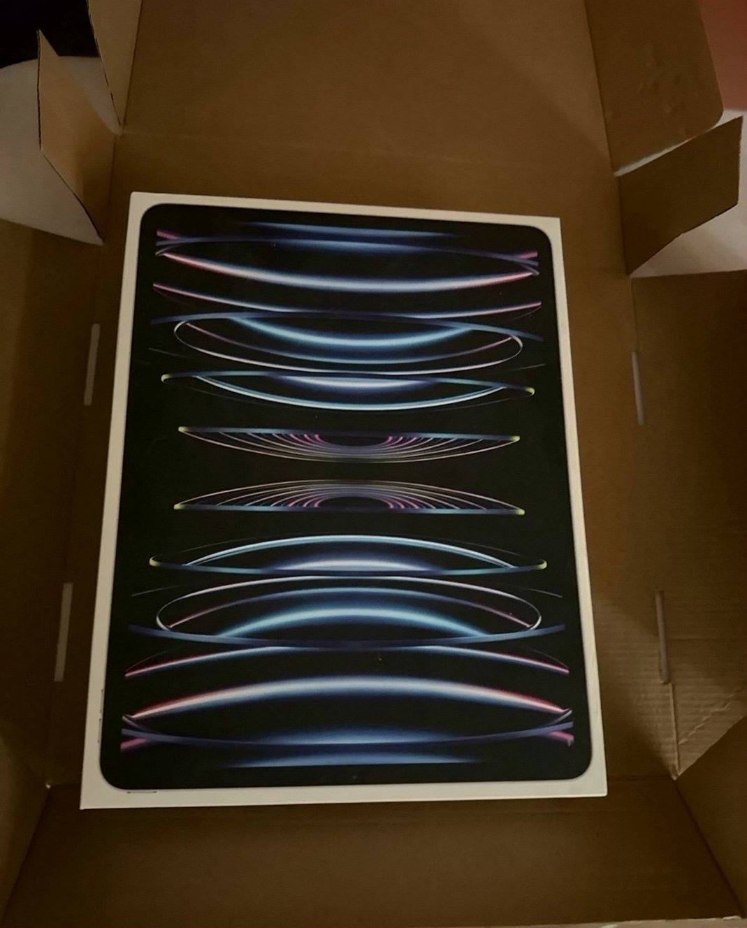 Apple iPad Pro 12.9 6th Gen 256GB Silver Unlocked - Used