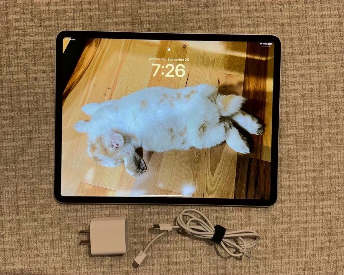 Apple iPad Pro 12.9” 4th Gen 256GB Unlocked - Used