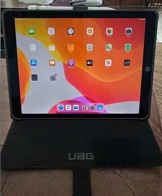 Apple iPad Pro 256GB Space Gray Unlocked - Used