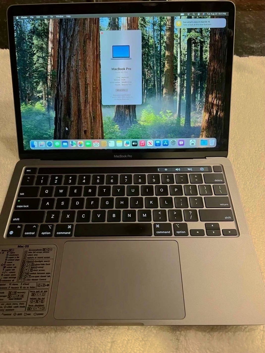 Apple MacBook Pro M2 512GB Silver Unlocked - Used