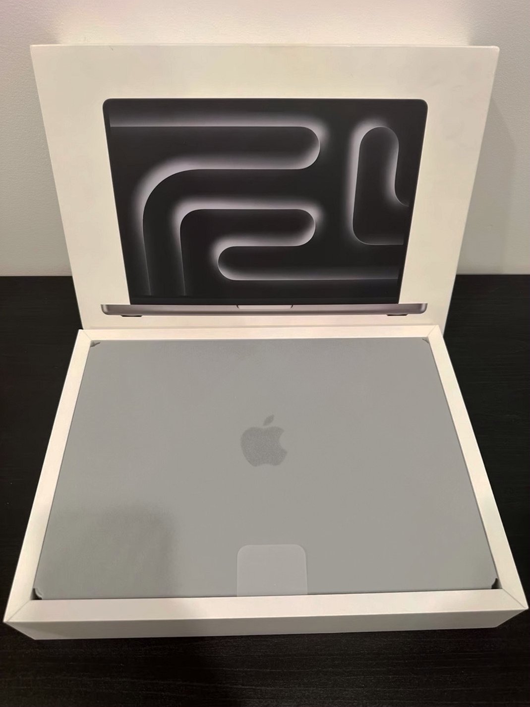 Apple Macbook Pro 8S23 256GB Space Gray Unlocked - Used