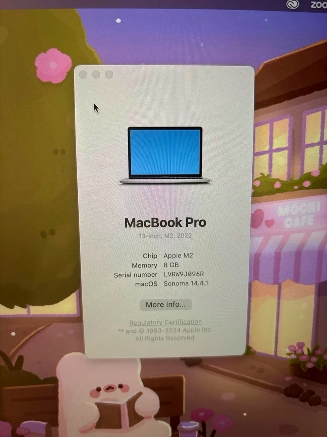 Apple MacBook Pro 13inch M2 245GB Unlocked - Used image 5