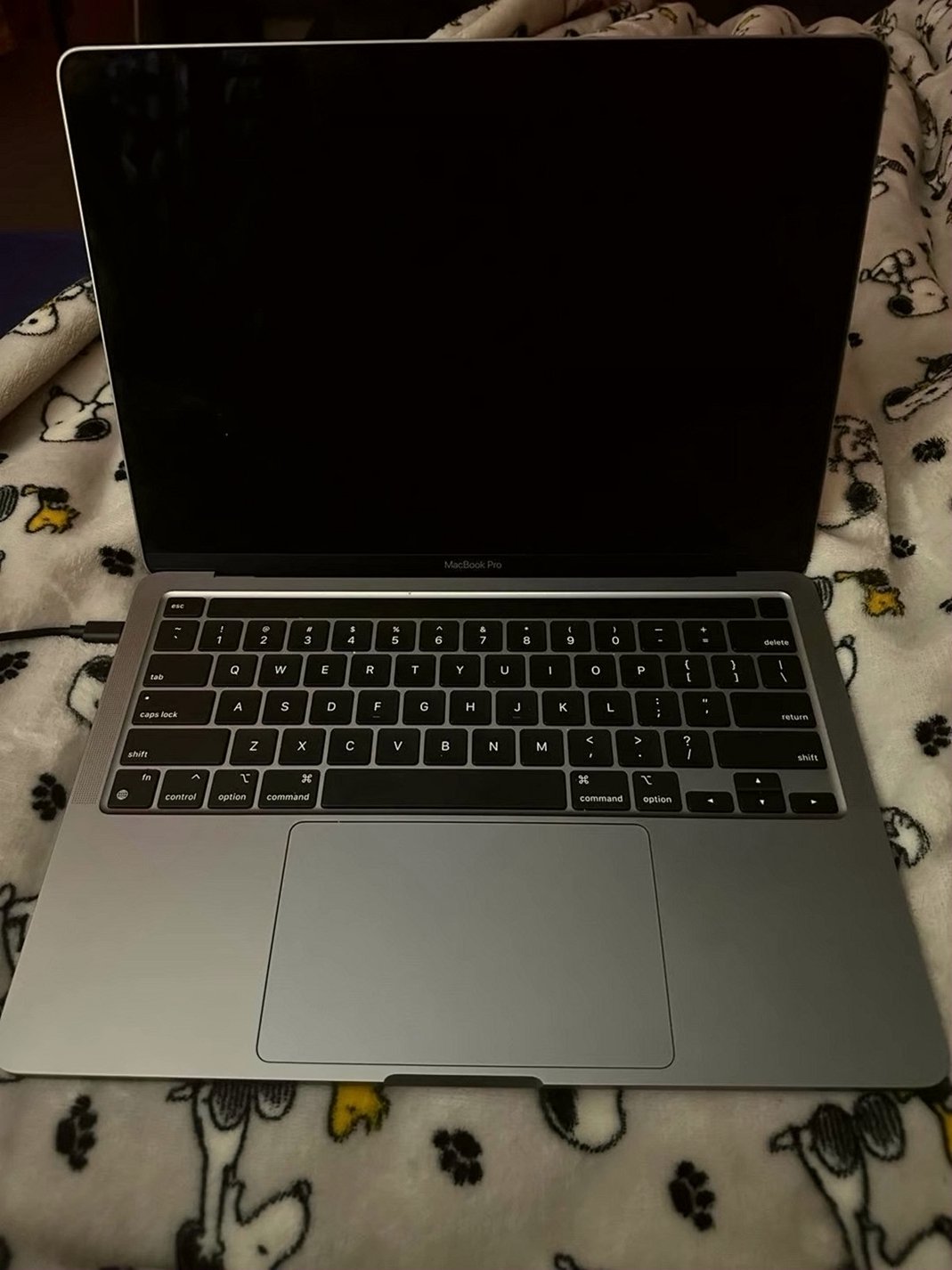 Apple MacBook Pro A2238 256GB Space Gray Unlocked - Used