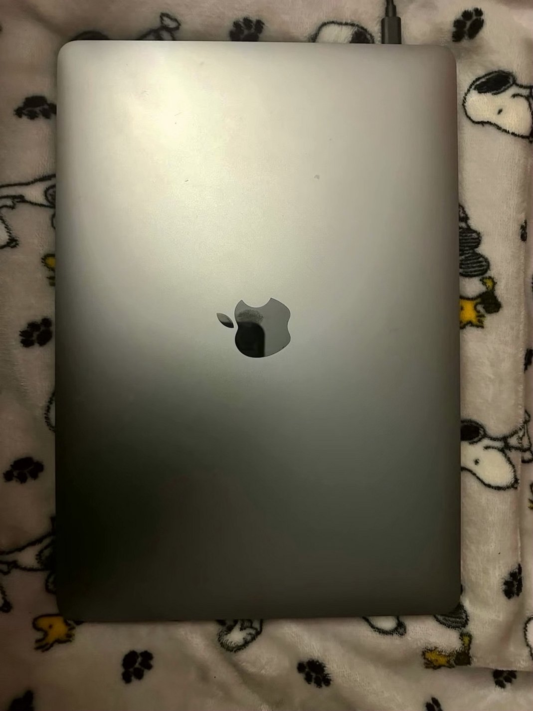 Apple MacBook Pro A2238 256GB Space Gray Unlocked - Used image 2