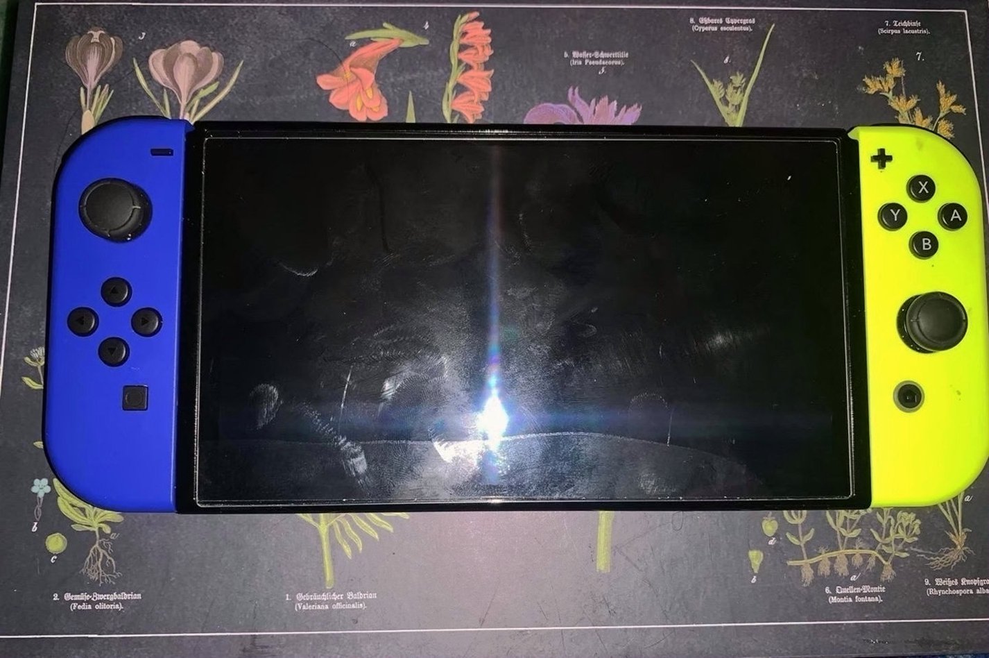 Nintendo Switch OLED 3D67 Used image 3