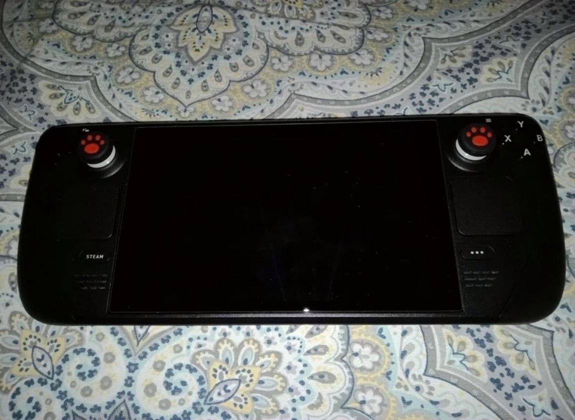 TeamGroup Steam Deck 6O77 1TB LCD - Used
