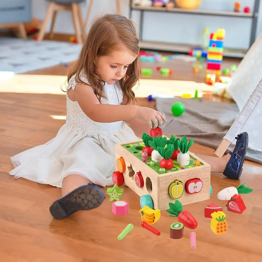 KMTJT Montessori Wooden Educational Toys Shape Sorting Game JHTOY-556-braincar-SetA Wooden Toy1 New image 5