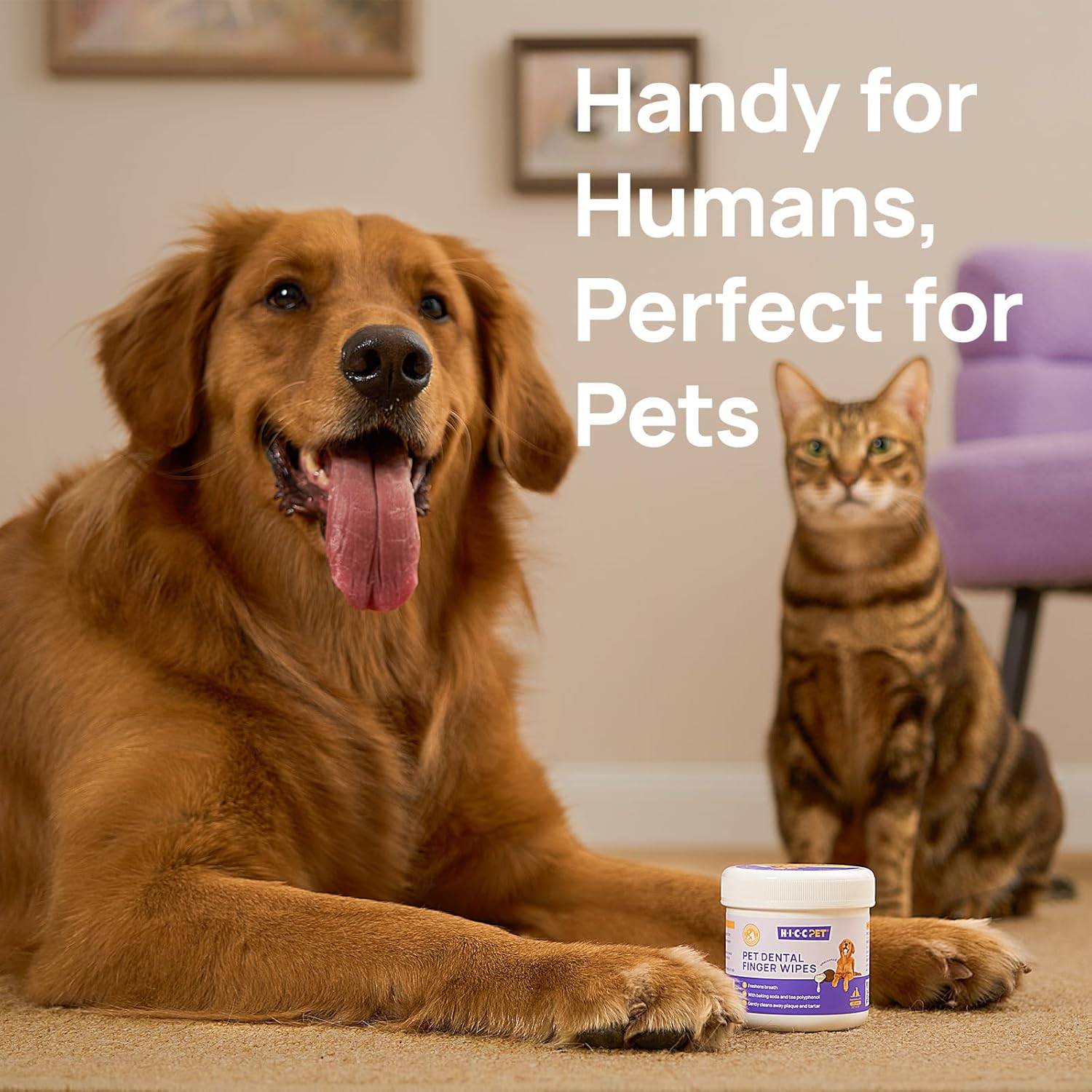HICC PET Pet Teeth Cleaning Wipes for Dogs & Cats Dog Breath Freshener Unscented New image 7
