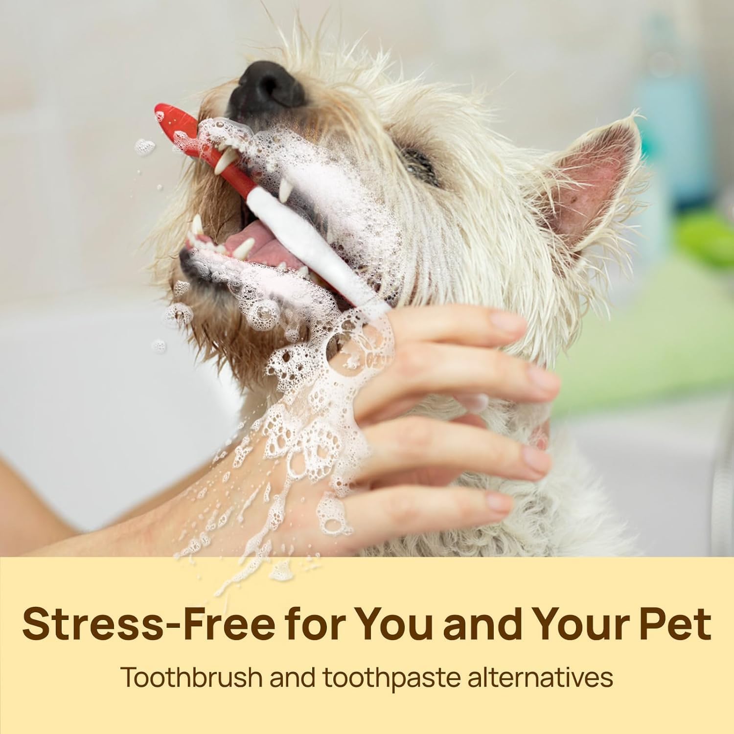 HICC PET Pet Teeth Cleaning Wipes for Dogs & Cats Dog Breath Freshener Unscented New image 6