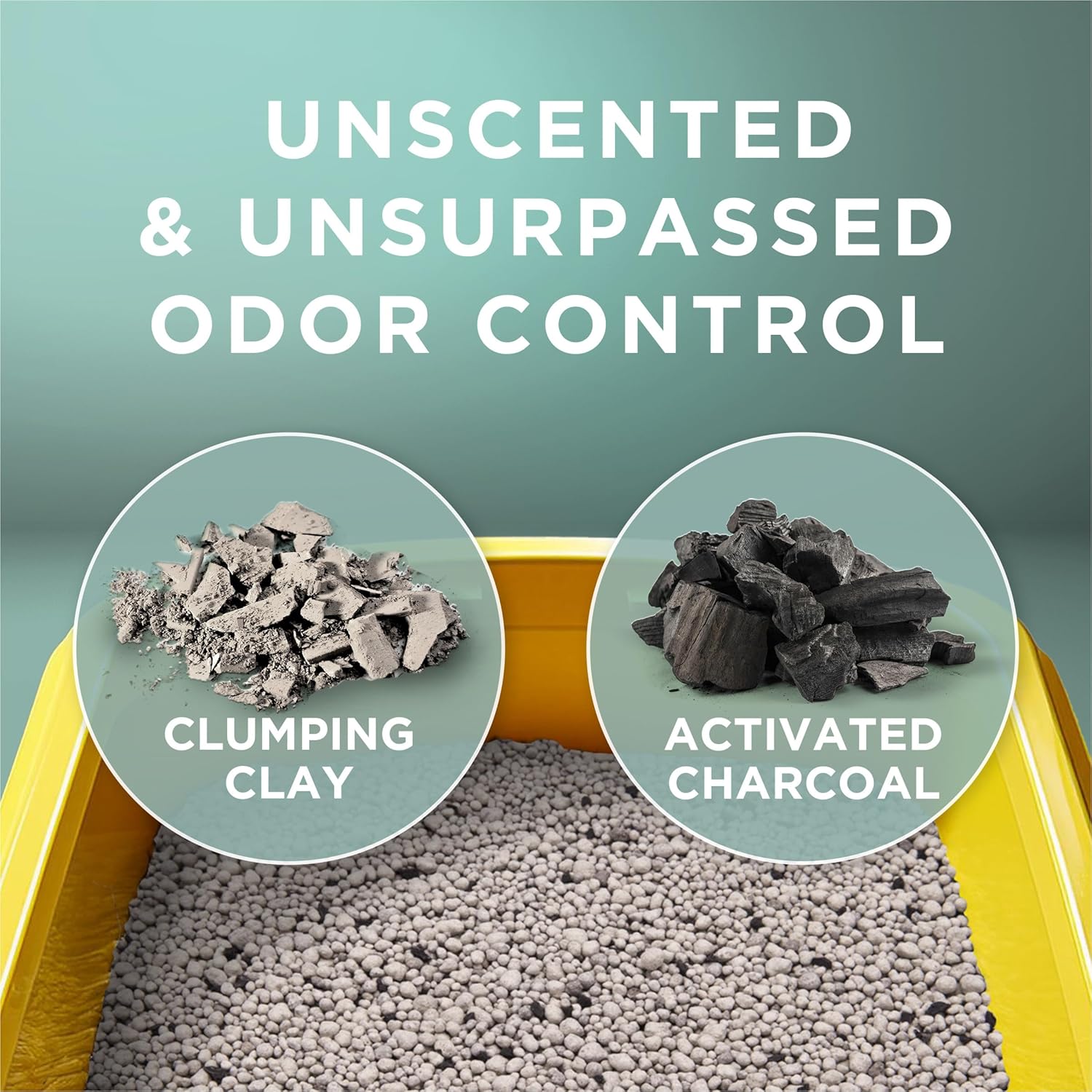 Tidy Cats Purina Tidy Cats Free and Clean Unscented Cat Litter 38 lb Box Clay New image 4