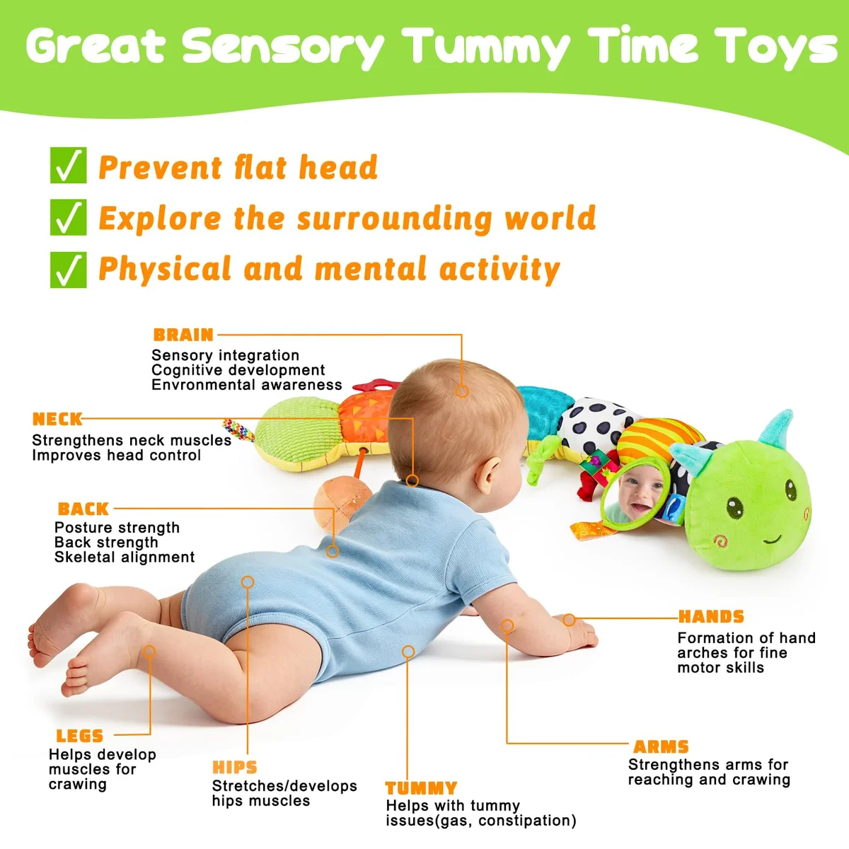 Topsochir Baby Sensory Toys Caterpillar SZ2112007BYA 4-in-1 Plush Green New image 3