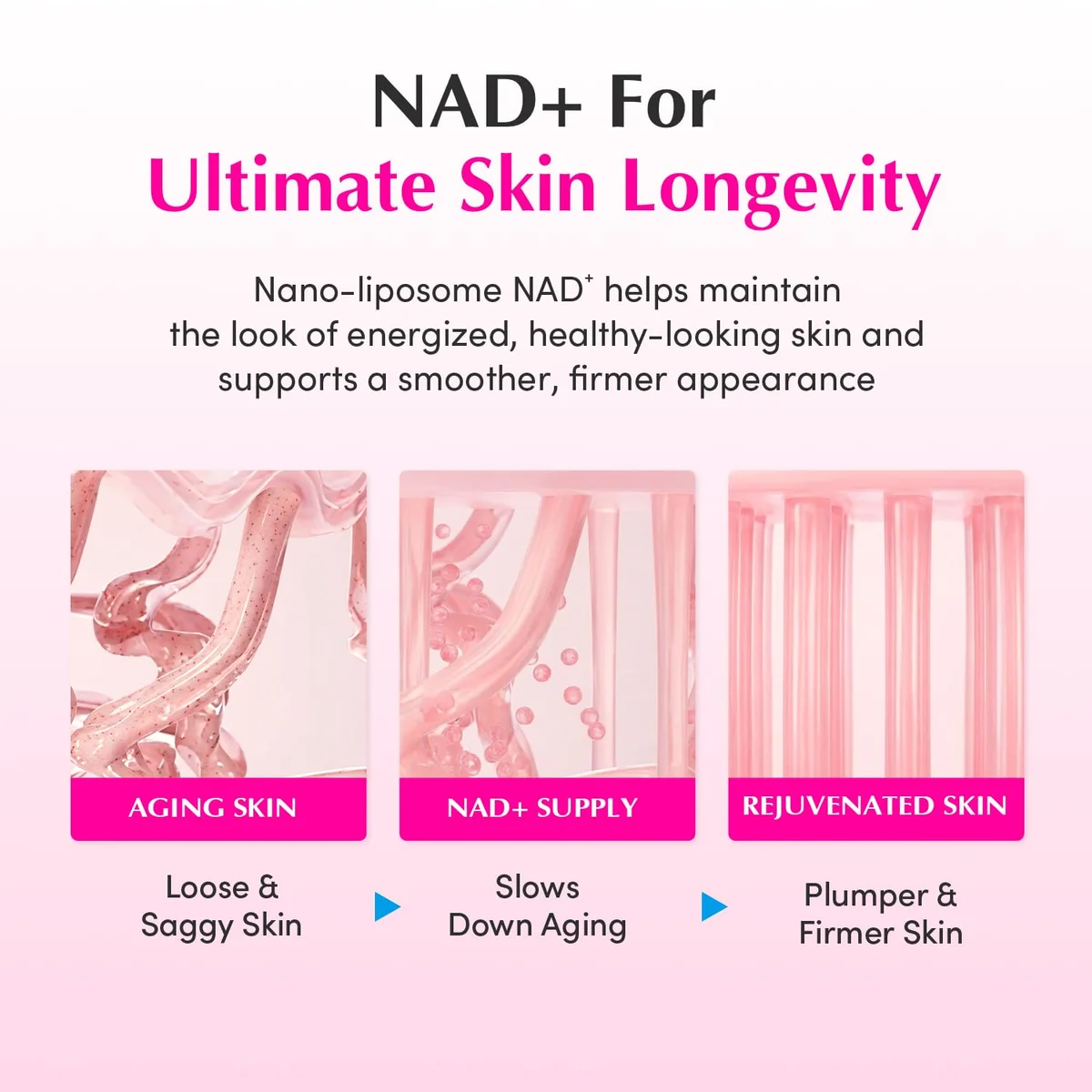 EQQUALBERRY NAD+ Peptide Boosting Cream EQB-LB-N_CRM – 5% NAD+ & 13 Peptides for Anti-Aging – Single Pack – New image 14